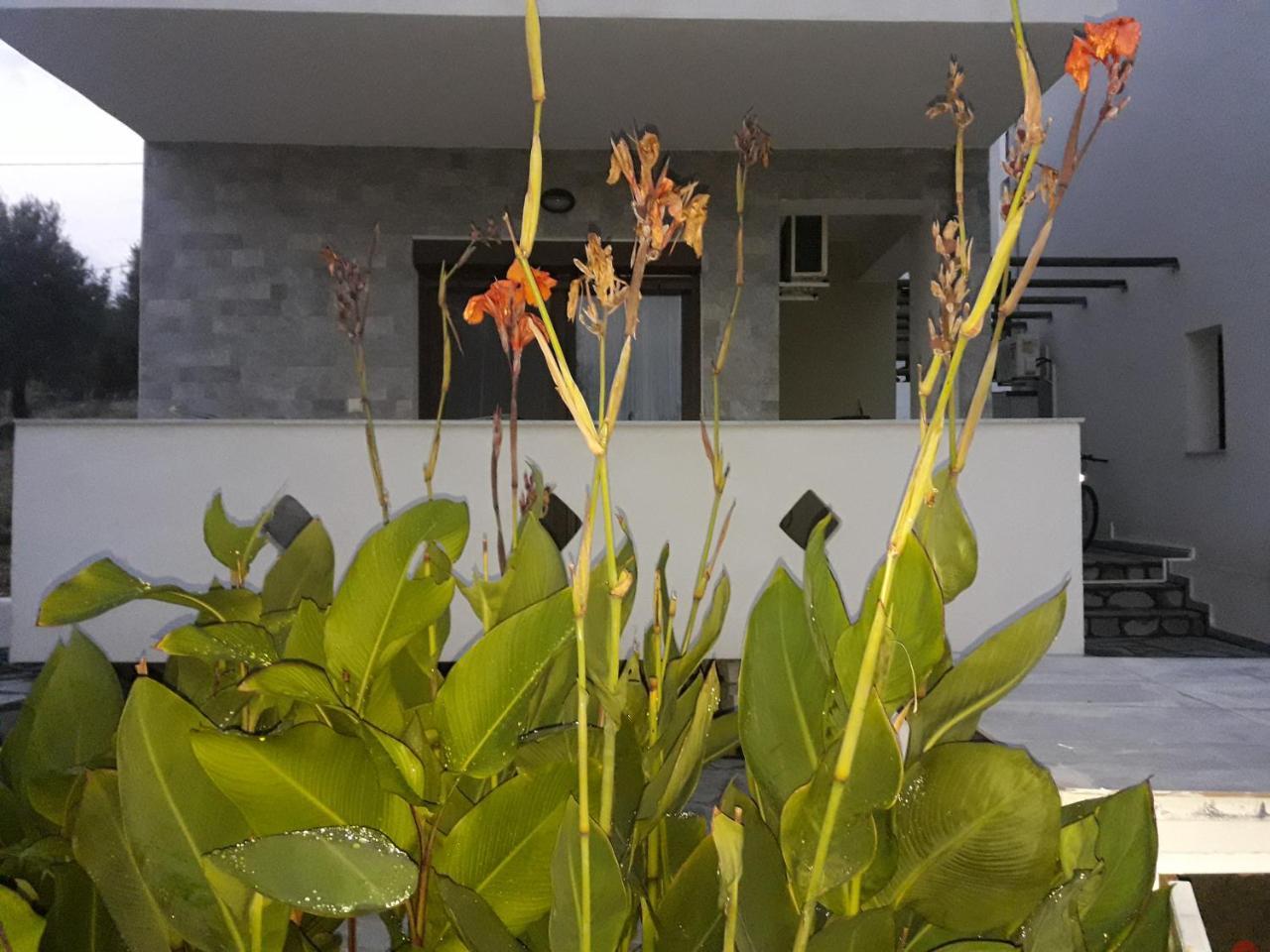 Villa Oliva Astris Luaran gambar